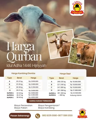 sapi qurban 2025